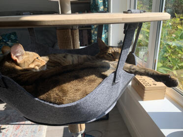 C'est le bonheur, mon frère 