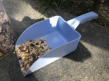 Treat your chickens with a trail mix.