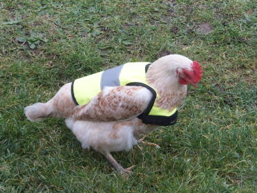 Amber mit ihrer neuen jacke.