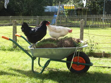 Gartenhelfer