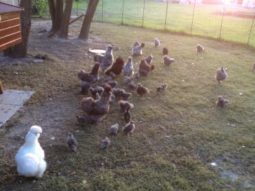 Nice morning in our 