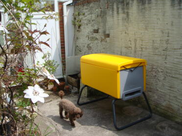 our new beehaus