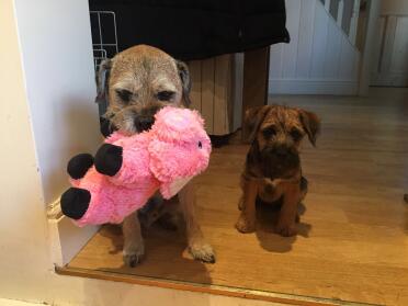 Go weg, es gehört mir!