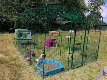 Several coops can be attached to your run