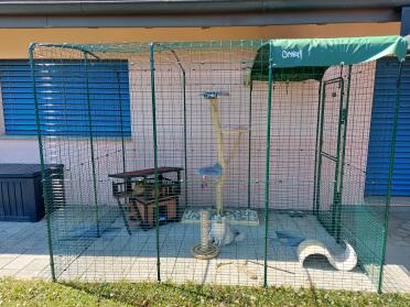 Walk in runs make a great area for your cats to play in safely