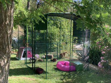 Looks great in the garden