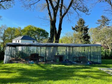 Create a large area for your rabbits thanks to the extensions