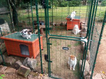 Give your cats a safe place to play with the walk in run.