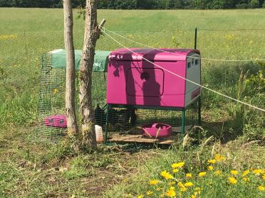 Twin insulation walls to keep your chickens cool in summer