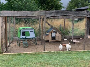 The Eglu Cube is a large chicken coop.