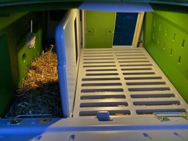 The Cube has plenty of room for your chickens!