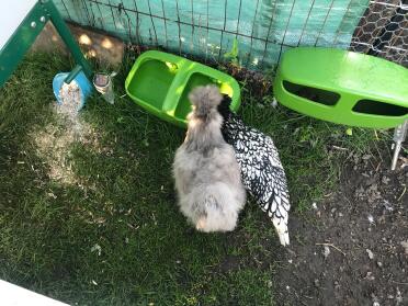 Having a drink!