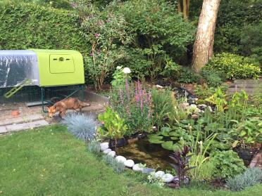 Er hat es nicht geschafft, aber nicht, weil er es nicht versucht hat!