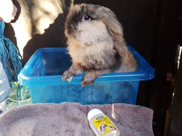 Ich nehme gerade mein bad!