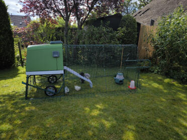My first chicken coop