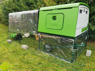 The covers are keeping the chickens dry