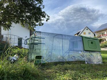 Covers protect your chickens from the wind