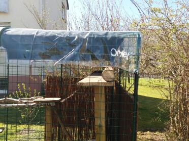 Keep your kittens dry with a clear cover over the walk in runs!