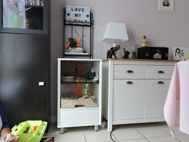 Der käfig unserer wüstenrennmäuse in unserem wohnzimmer