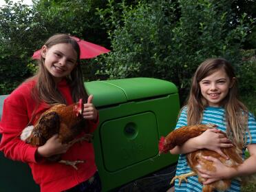 Eglu Cube makes for happy chickens!