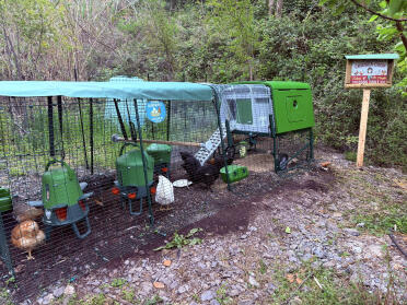 Lateral wiew from italy point...