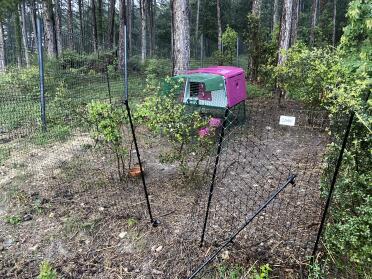 The enclosure