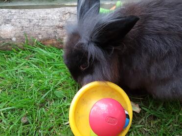 mit meinen Spielsachen spielen