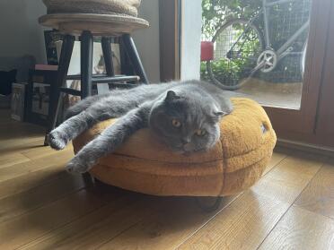 So comfortable
