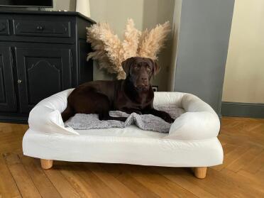 Scott enjoys the comfort of his bed