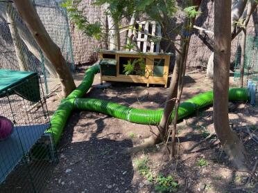 Zippi rabbit tunnels connecting a rabbit run with a wooden rabbit hutch.