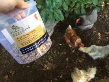 Ihre lieblingssüßigkeiten! (sie lieben alle sorten des sortiments. also bin ich verrückt danach. 