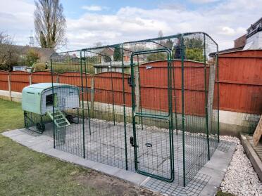 Mk1 coop with walk in run