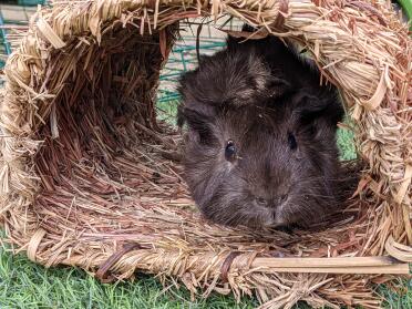 Tasty and cosy.