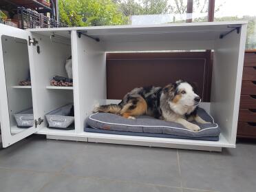 Already adopted it !