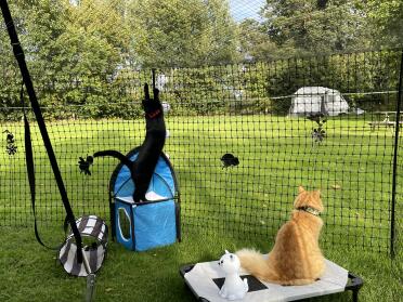 The fencing can adapt to any of your needs