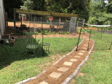 Chicken fencing 39’