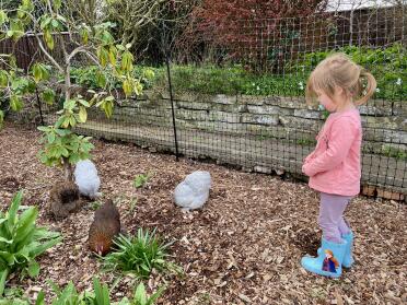 Excellent for children and bantams!
