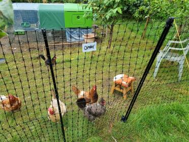 Suits any size of garden