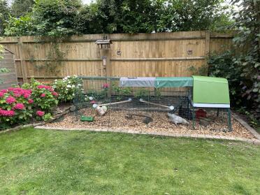 Two perch at varying heights. 
