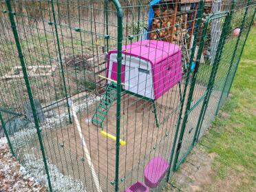 Purple Omlet Eglu Cube large chicken coop inside of Omlet walk in chicken run