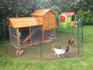 Keeping my kids and my chicks play zones separate, but they are still able to enjoy each other!  