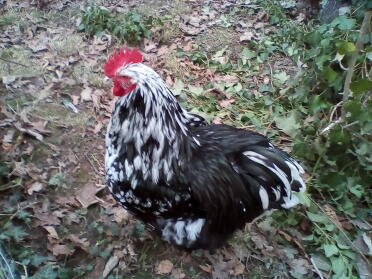 Tag alt in diesen Stunner verwandelt, ist er massiv