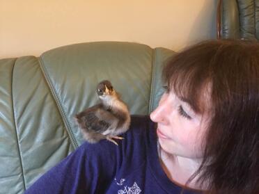 Polly hält sich für einen Papagei