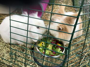 Keep your rabbits happy fed from the Omlet metal food bowl