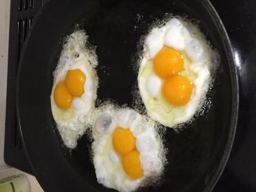 Eier von unserem 24 Wochen alten Barred Rock :)