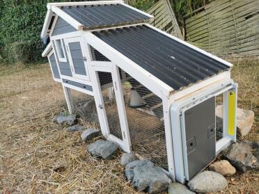 Omlet grey automatic chicken coop door attached to wooden chicken coop