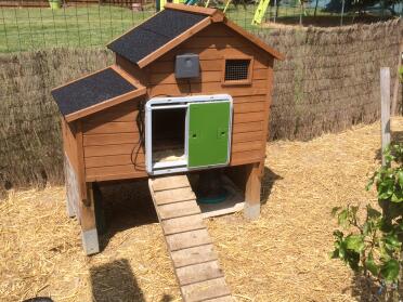 Omlet Green Automatic Chicken Coop Door attached to Wooden Chicken Coop