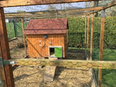 Omlet Green Automatic Chicken Coop Door Attached to Wooden Chicken Coop in Wooden Run