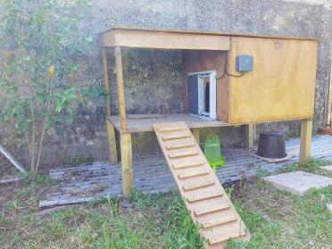 the autodoor is suited to any chicken coop!