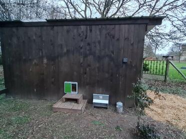 The Autodoor installed on my large wooden hen house. Within 15 minutes, my hens were safe and I was relieved not to have to open and close the door.